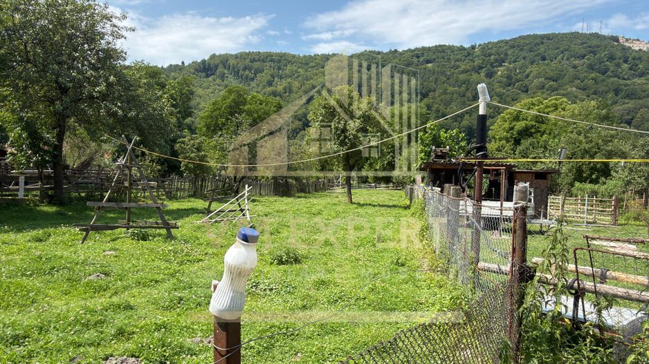 CASĂ3 3 CAMERE TEREN 1277 MP STOENEȘTI (SLOBOZIA) ARGEȘ - Poză 20