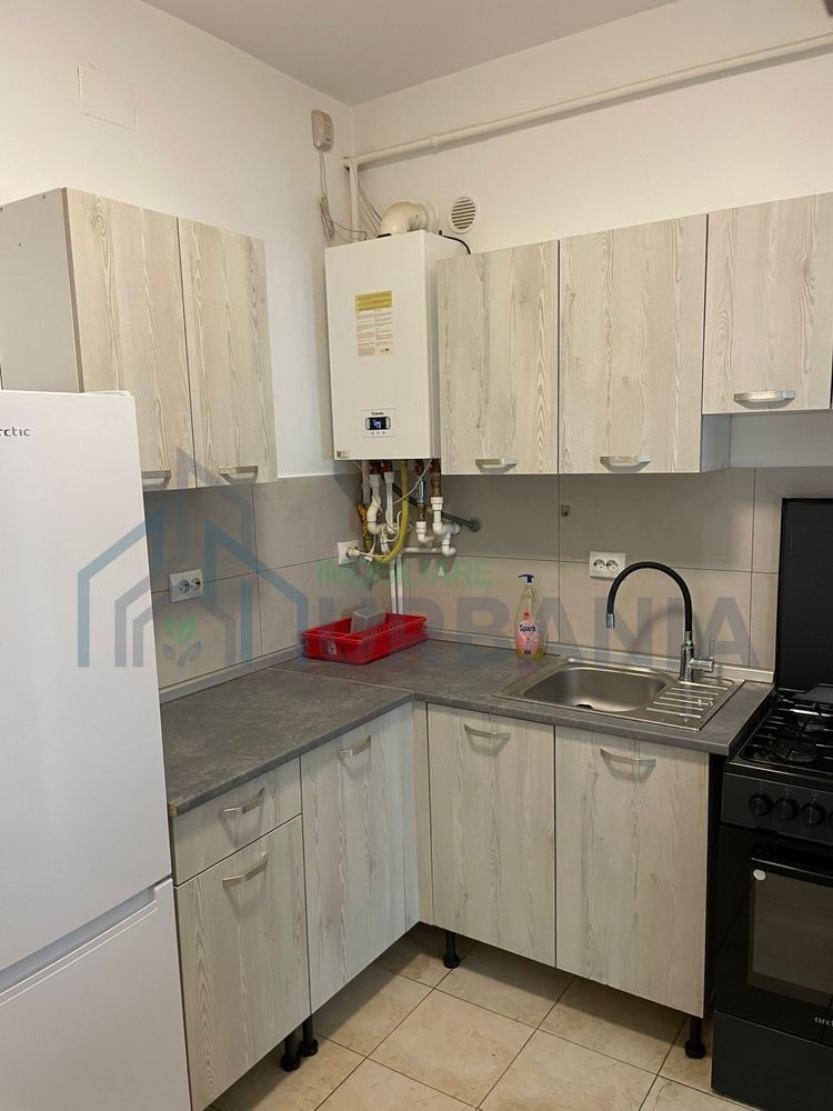 Apartament cu 1 cameră în Hlincea, Visan - parter, mobilat și utilat complet - Poză 5