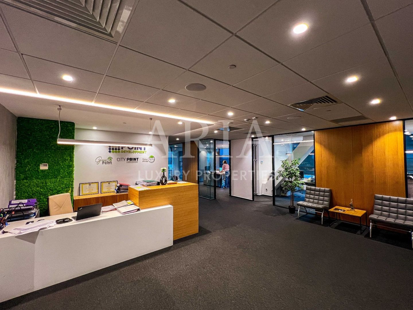 Birouri Premium PIPERA -  Hyperion Towers - Poză 1