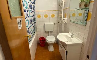 Apartament 3 camere I Piața Unirii I Fântâni - Poză 8