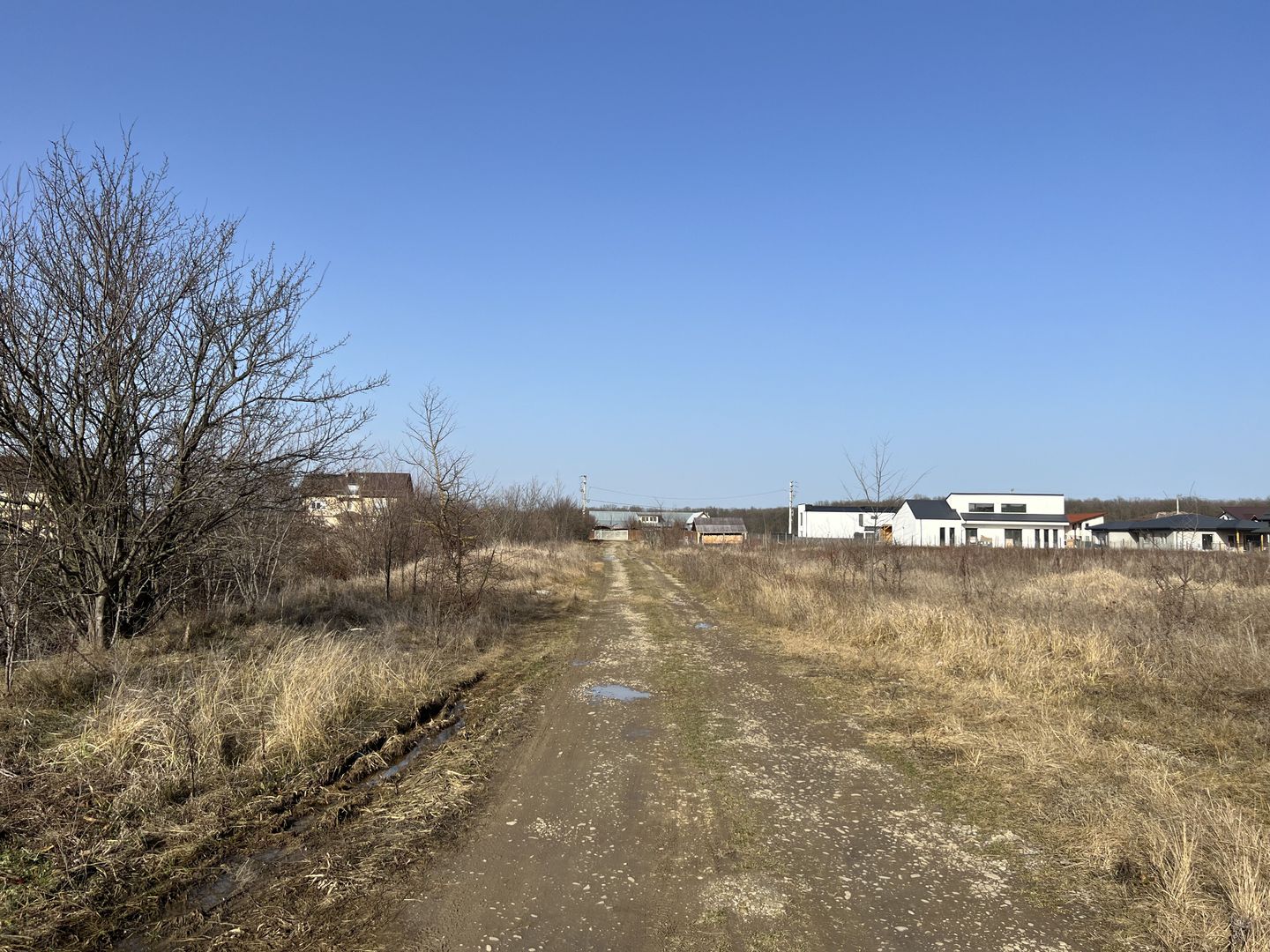 Teren Balotesti - Privighetorilor (Parcului Edenland) - Poză 6