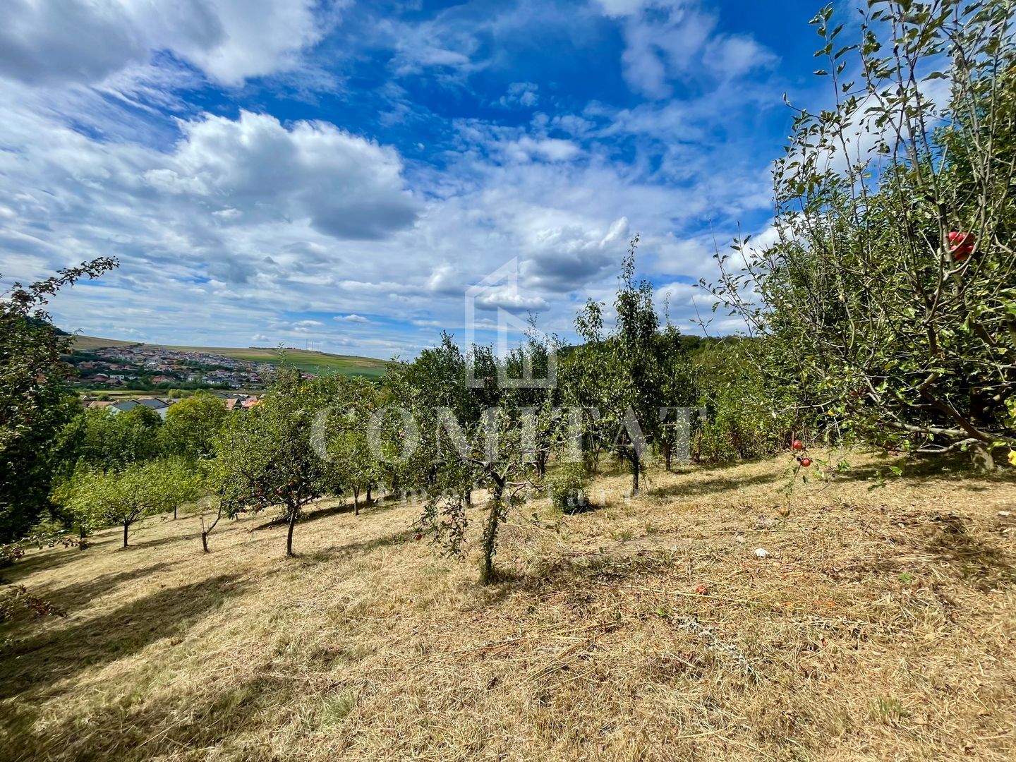 Casă individuală cu teren generos și panoramă Chinteni - Poză 21