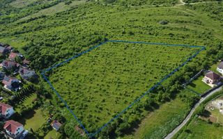 Lot  premium,17.200 mp,oportunitate extinsa,10 min de Targu Mures:Livezeni - Poză 9