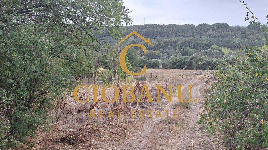 Teren Intravilan/Extravilan de vanzare in Bradestii Batrani - Poză 7