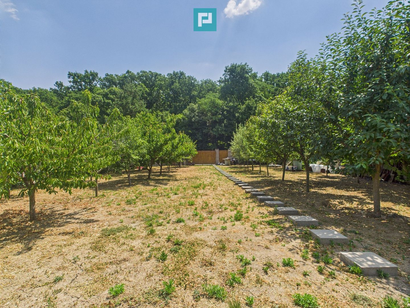 Teren edificabil 1106 mp – Dumbrăvița - Poză 2