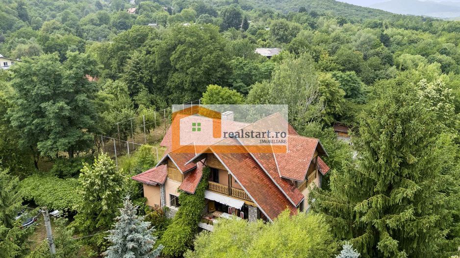 Vedere directa la Padure, 5000mp teren, Vila D+P+1E+M, semineu, foisor - Poză 4