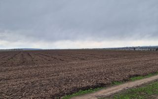 Teren 10,000mp Bacau / Strada Alexandru Safran - Poză 9