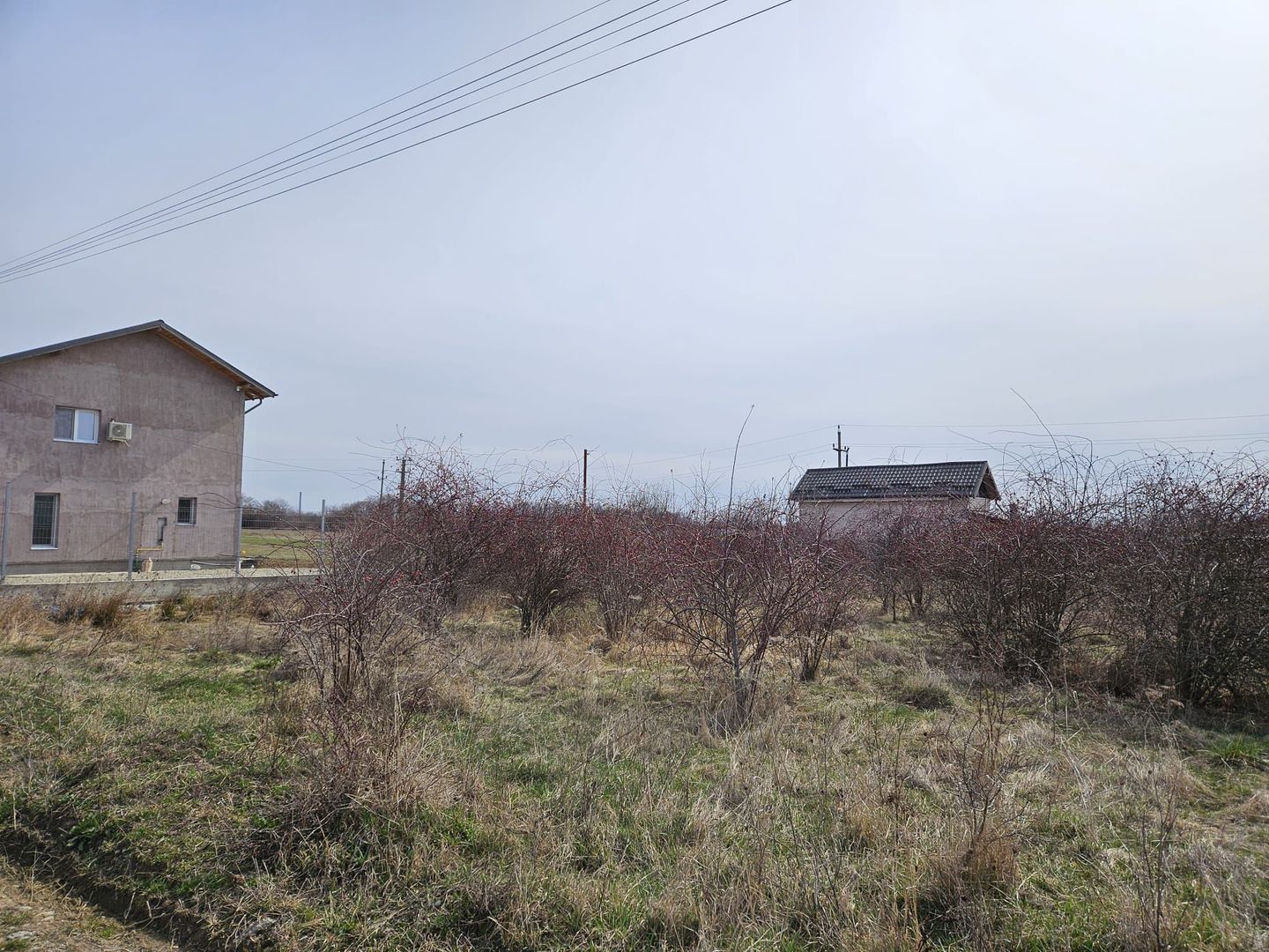 Teren intravilan 882 mp, Smeura - Hintesti - Poză 10