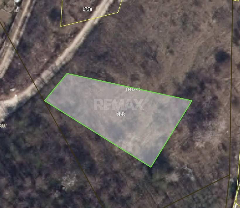Lot pomicol Dumbrava, Mun. Chisinau - Poză 1