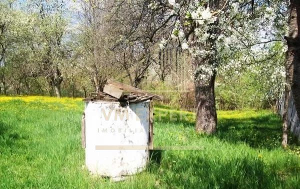 CASA DEMOLABILA + TEREN INTRAVILAN 3420 MP CAMPULUNG-MARCUS, - Poză 4