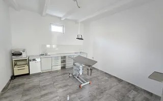 Casa de inchiriat in Vladimirescu (pretabil pentru Birou,Cabinet etc.) - Poză 19