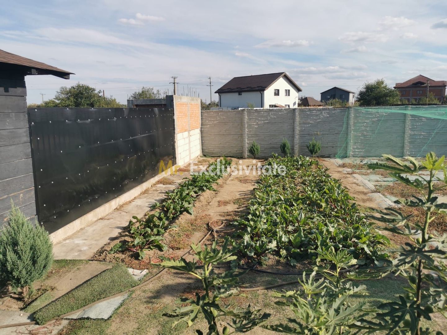 Teren Craiova Cernele - Poză 6