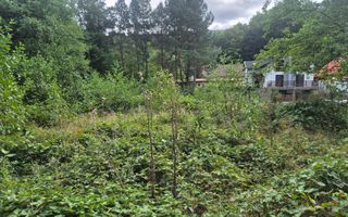 Vand 2 parcele de teren Valiug - Poză 5