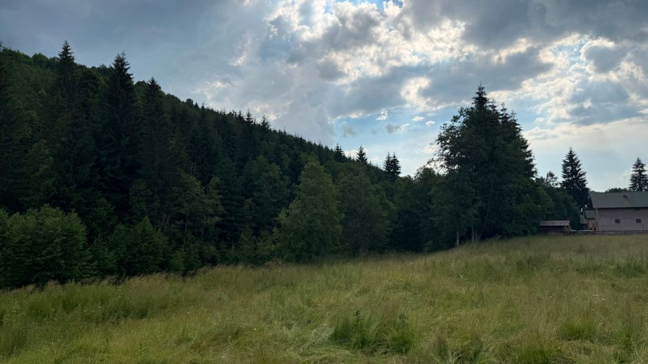 PARCELE DE VÂNZARE, pe malul râului BÂSCA, COMANDAU, COVASNA - Poză 8