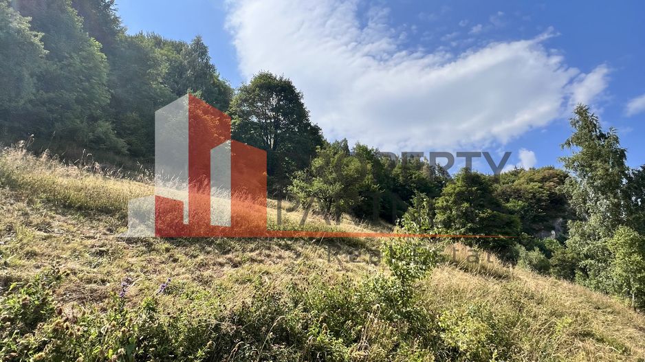 Teren de vânzare langa  Peștera Liliecilor  in Sat Pestera - Poză 12