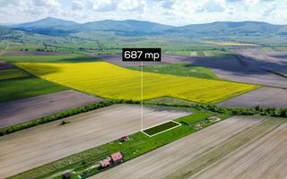 Teren intravilan | 687 MP | Aninoasa - Poză 2