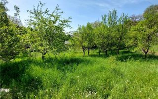 Cabana/ Casa Vacanta-4 camere-gradina 7400 mp- Mijlocenii Bargaului - Poză 5