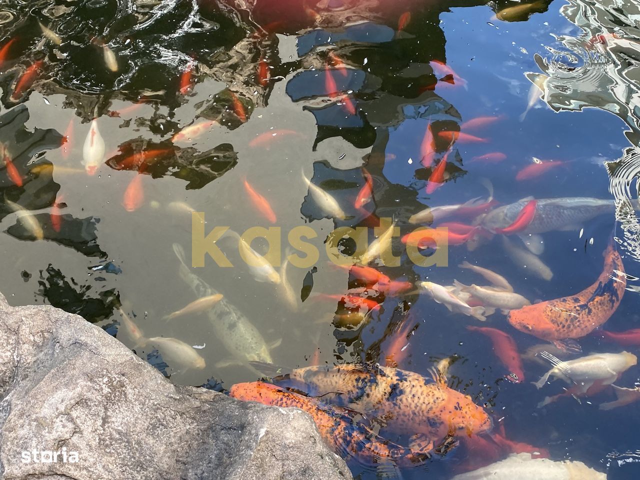 Garsonieră modernă de închiriat – North Lake Herăstrău - Poză 4