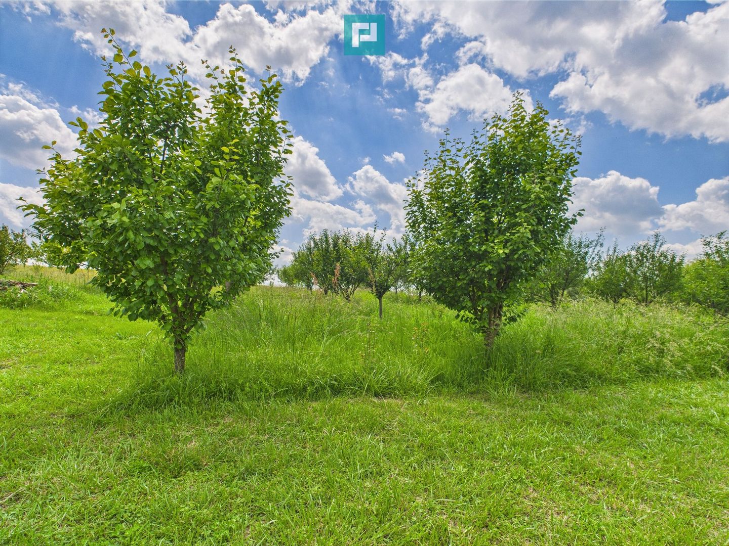 Teren cu baltă- oportunități multiple la Fibiș - Poză 39