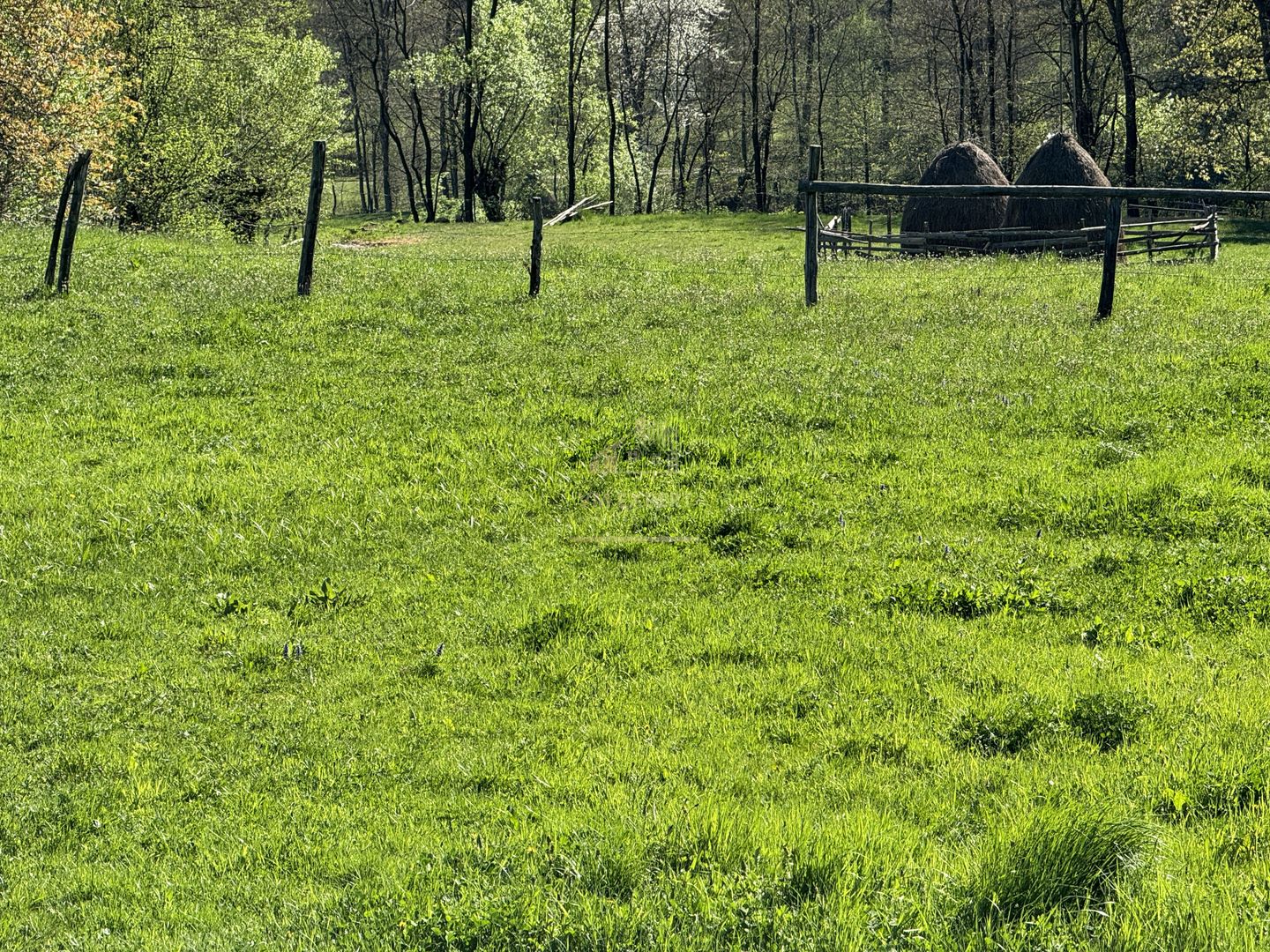 TEREN INTRAVILAN 2592 MP,  ALBESTI DE MUSCEL, ARGES - Poză 14