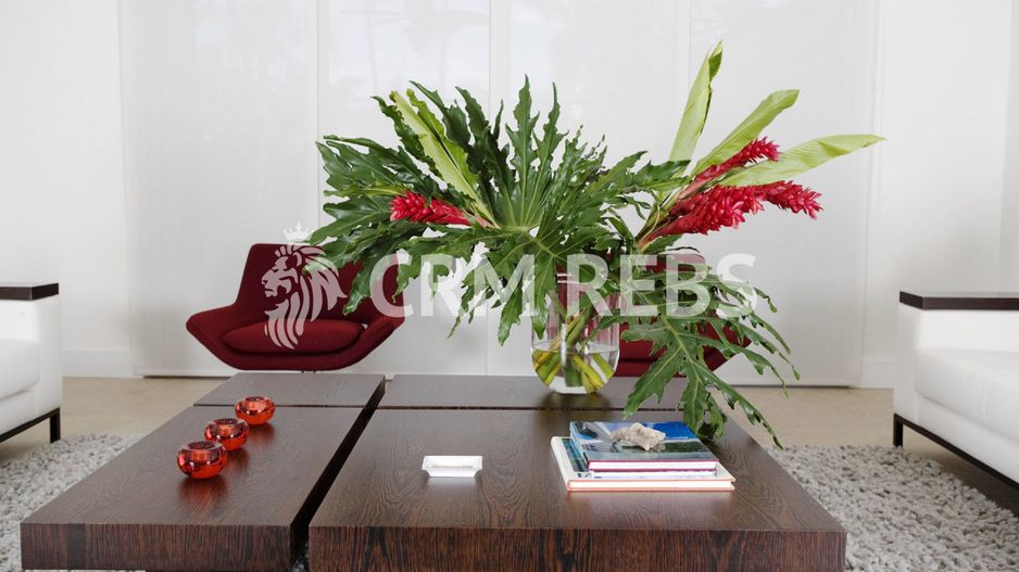 Vila individuala de vanzare in Buna Ziua - Poză 2