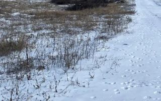 Vând teren extravilan (2026 intravilan) 2500 mp parcelabil zona hlincea lunca cetatuii - Poză 7