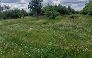 0% Comision!!! Teren intravilan Smeura - str Prunilor! - Poză 5