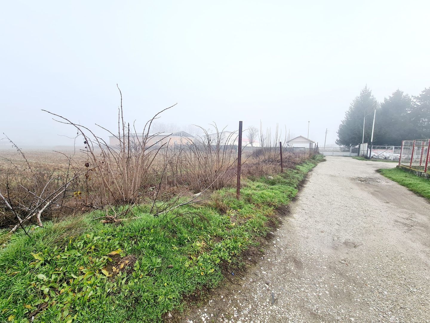 Teren intravilan Babeni - Poză 5