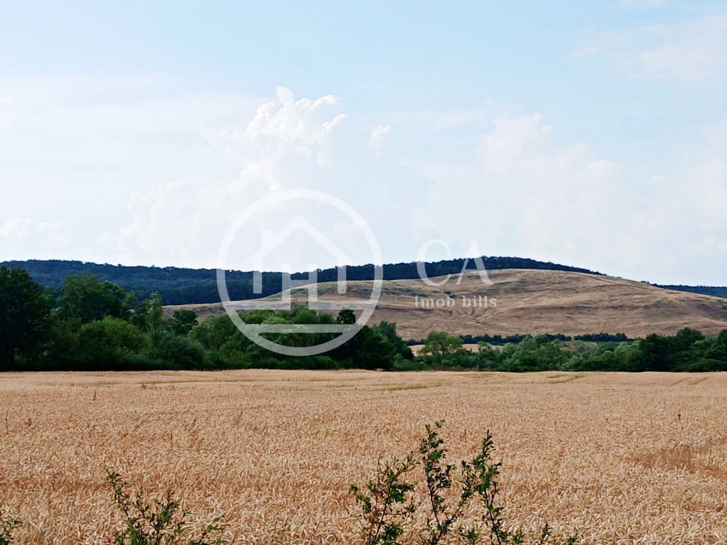 Teren intravilan de vanzare in Fughiu, Bihor - Poză 2