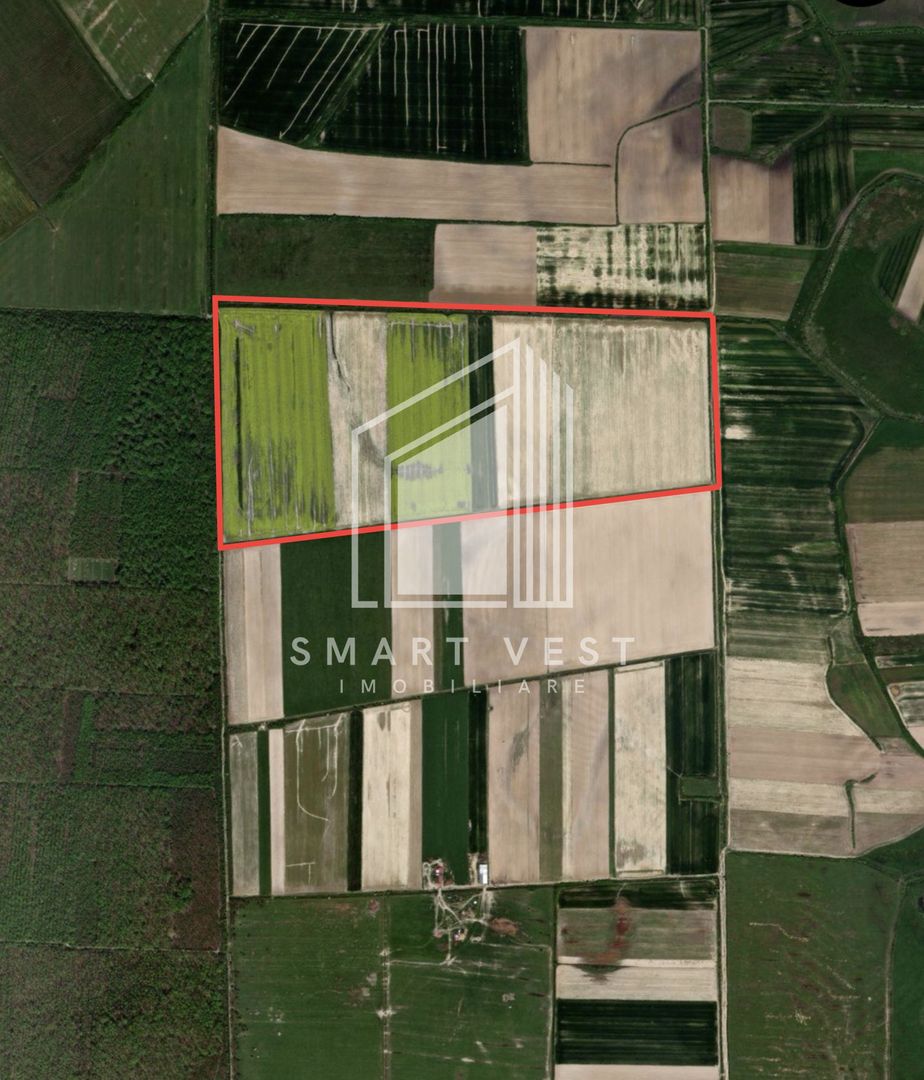 Teren agricol 96.500 mp | Zona Aeroportul Satu Mare - Poză 2