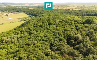 TEREN AGRICOL EXTRAVILAN  22.900 MP LIPOVA - Poză 18