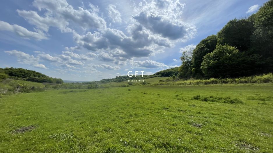 Teren extravilan 10000 mp, Jelna. - Poză 1