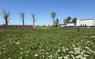 Teren intravilan 375 mp | Ideal casă | Acces rapid Bucuresti - Poză 2
