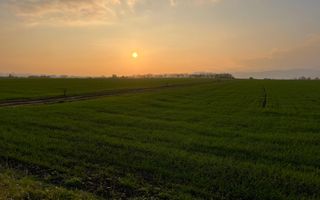 Teren Intravilan cu utilitati 560 mp | Deschidere 17 ml | Oarda de Jos - Poză 5