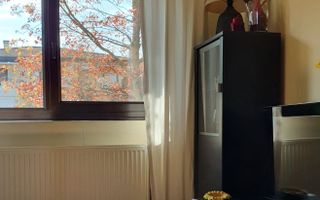 Vanzare vila 5 camere | Langa padure | Bucuresti | Baneasa - Poză 12