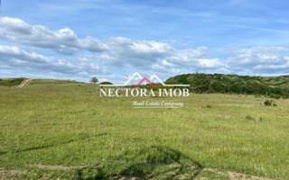 NECTORA IMOB-Teren Intravilan Baile Felix-Usa Oil, 8603 mp, Iesire DN - Poză 4