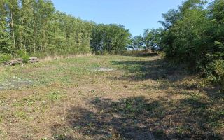 Casă renovată, Romanesti, Iași – 3 camere, 50 mp utili, teren 3240 mp - Poză 18