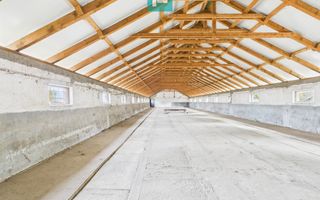 Hală pentru producție / fermă zootehnică  - Variaș - Poză 13