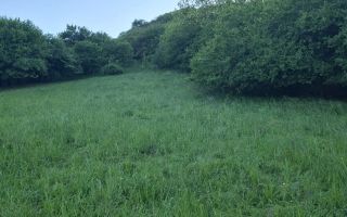 Teren de vanzare in Valcele - Poză 2