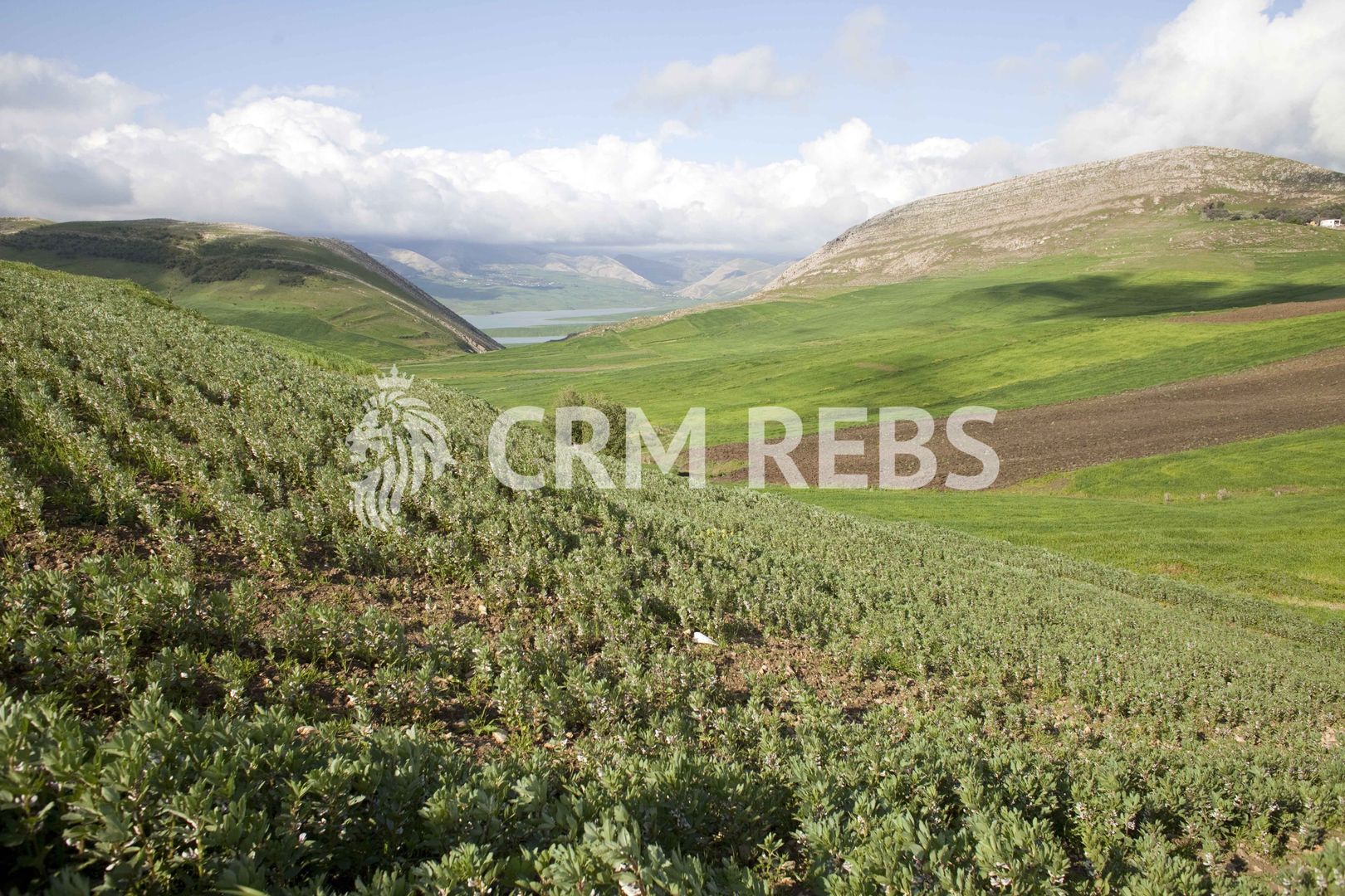 Teren cu proiect de duplex de vanzare - Poză 2