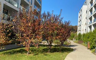 APARTAMENT 2 CAMERE | IVY RESIDENCE - Poză 12