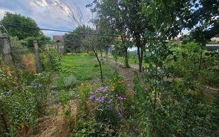 Casa individuala cu 3 camere | Teren 542 mp | Turnisor - Poză 23