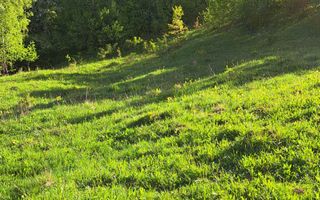 Teren extravilan de vanzare, Bistrita Bargaului- 10 minute de Colibita - Poză 6