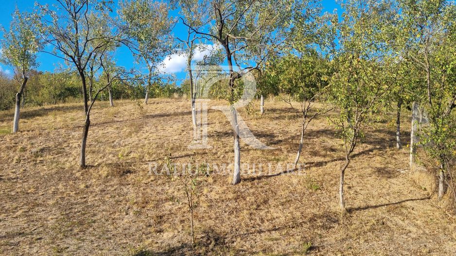 Casă renovata cu teren generos | Anexe | Gurasada | Hunedoara - Poză 46