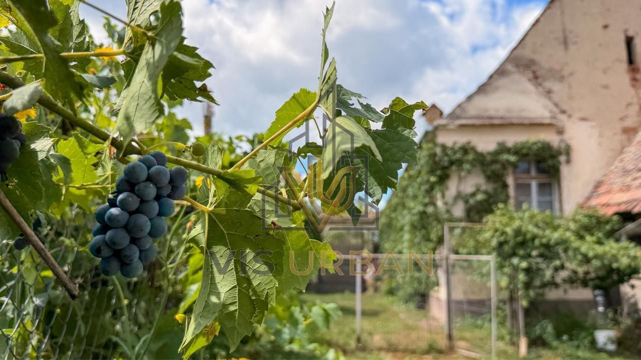 De vânzare casa Pelișor, jud. Sibiu - Poză 4
