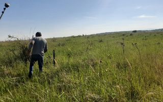 Teren de vânzare în Lugoj, judet Timis - Poză 8