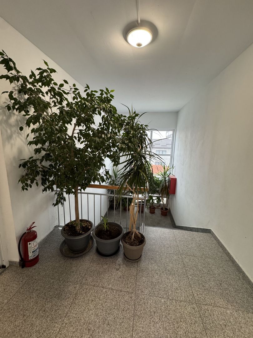 Spatii birouri de inchiriat renovate moderne L329 - Poză 8