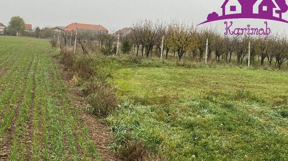 Parcela de teren Nojorid - Poză 6