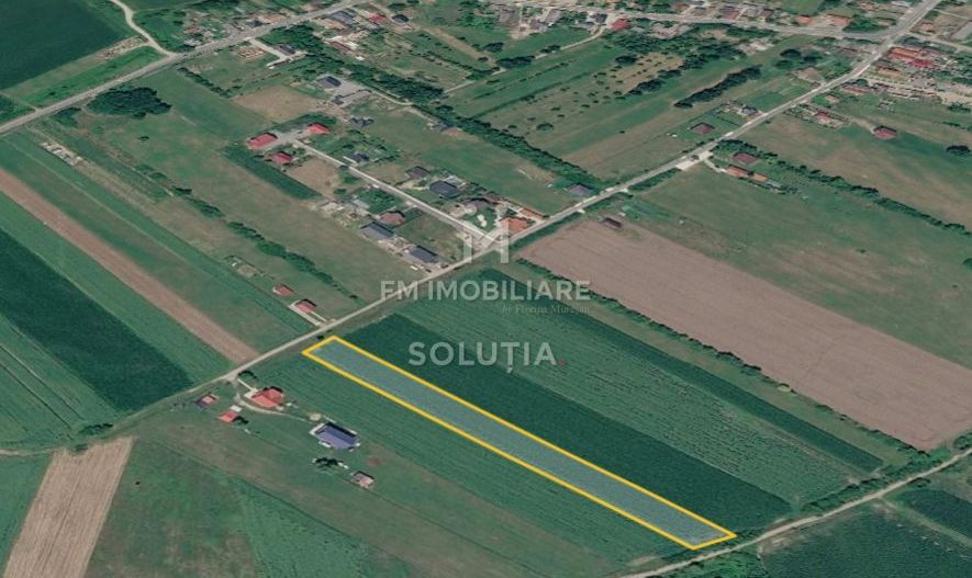 Teren intravilan 53 ari  – Colțirea - Poză 4