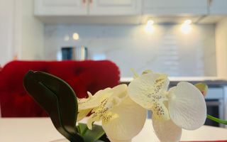 2 camere | 2 locuri de parcare - Dumbravita - Poză 5